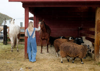 Adult Jour Apron - Ballerina Farm