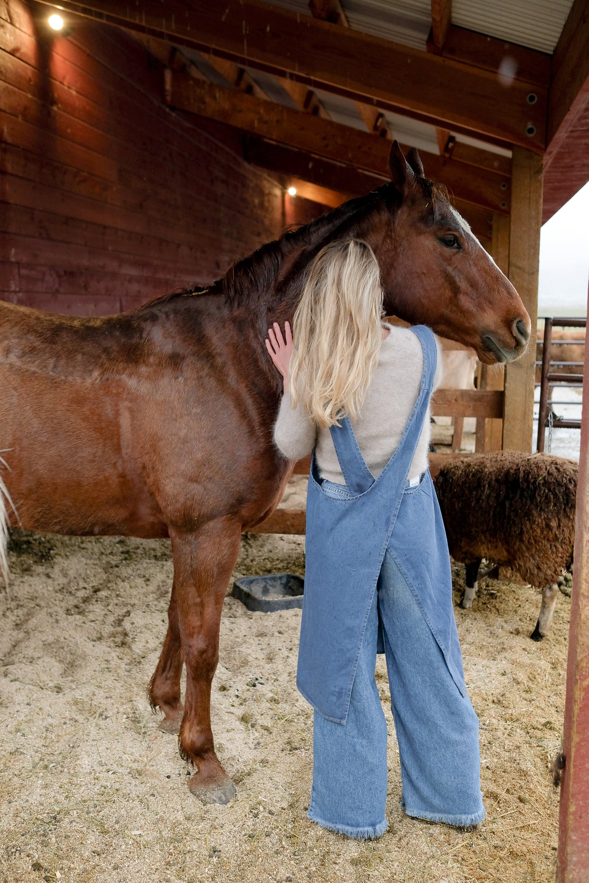 Adult Jour Apron - Ballerina Farm