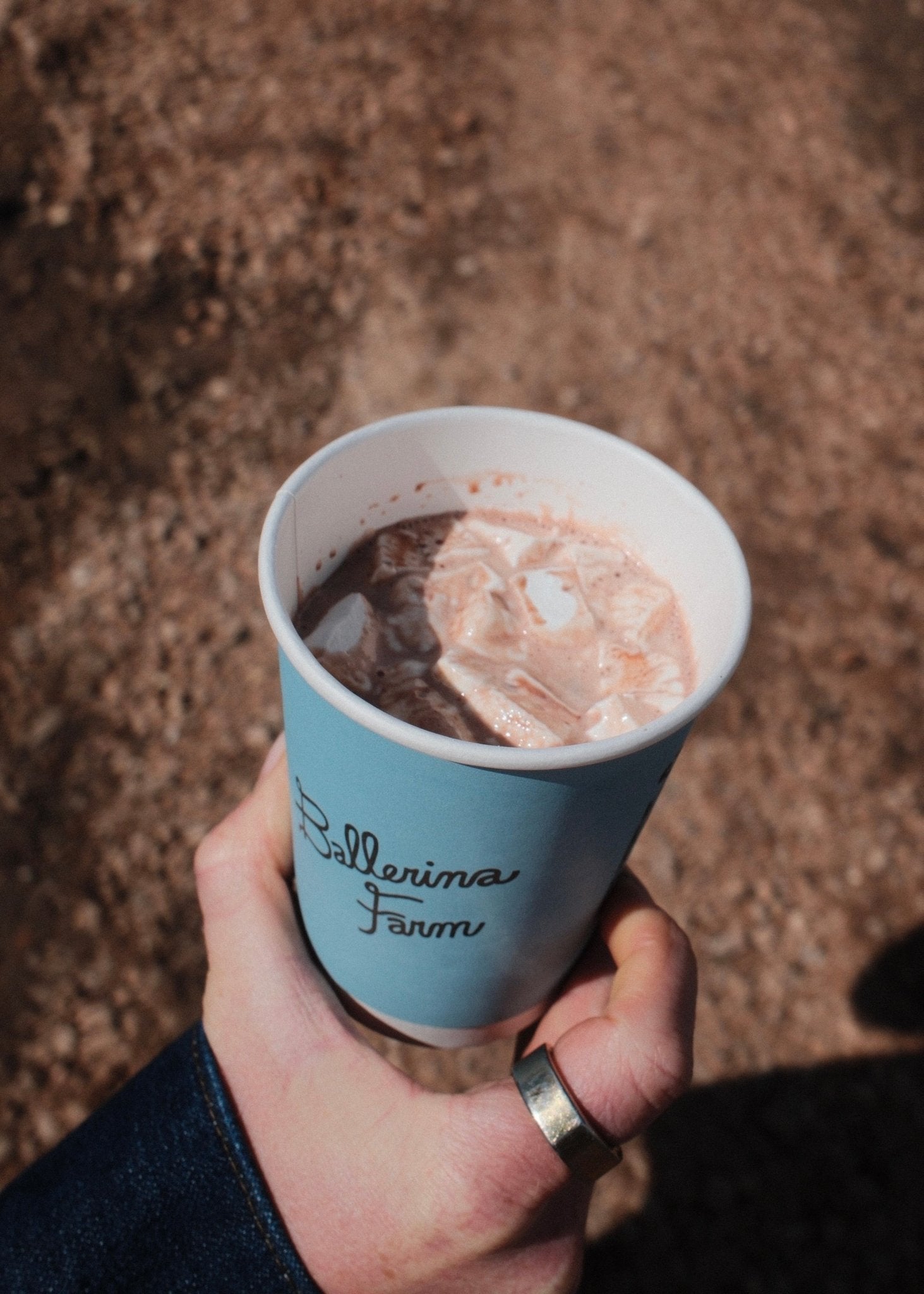 Creamy Protein Hot Chocolate - Ballerina Farm