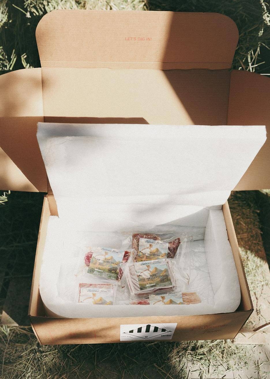 Hannah's Favorites Encore Subscription Box - Ballerina Farm