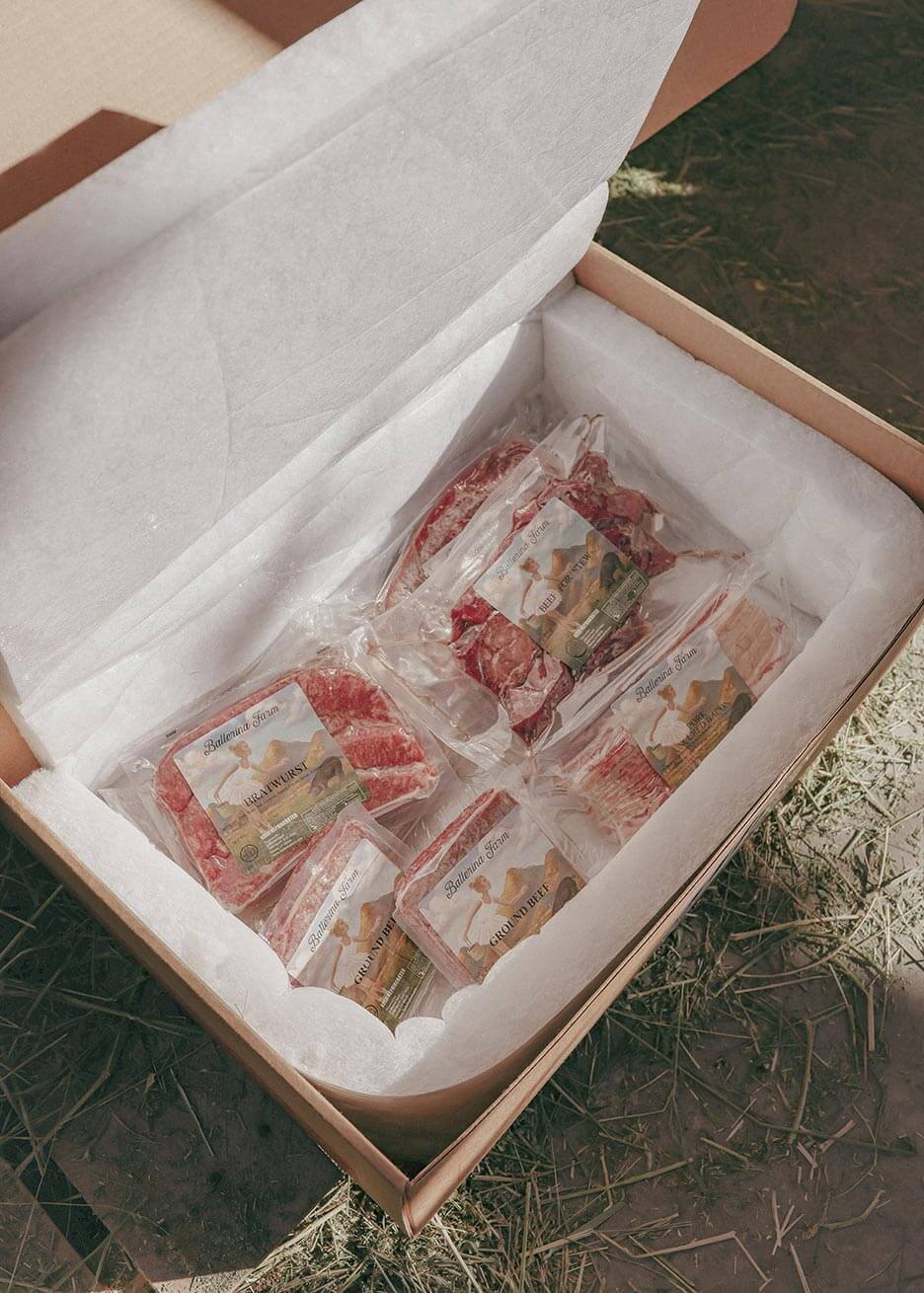 Hannah's Favorites Encore Subscription Box - Ballerina Farm