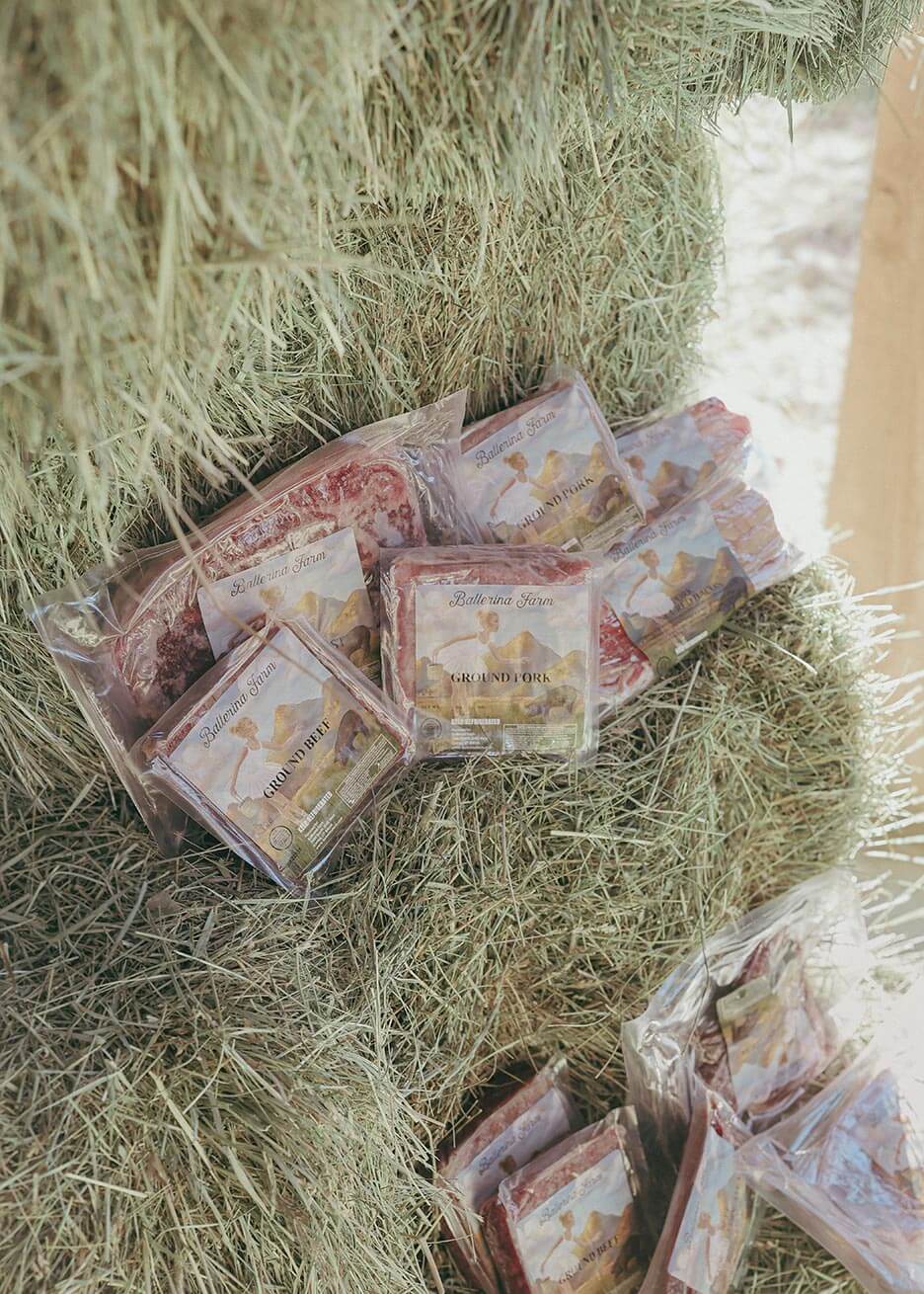 Hannah's Favorites Encore Subscription Box - Ballerina Farm