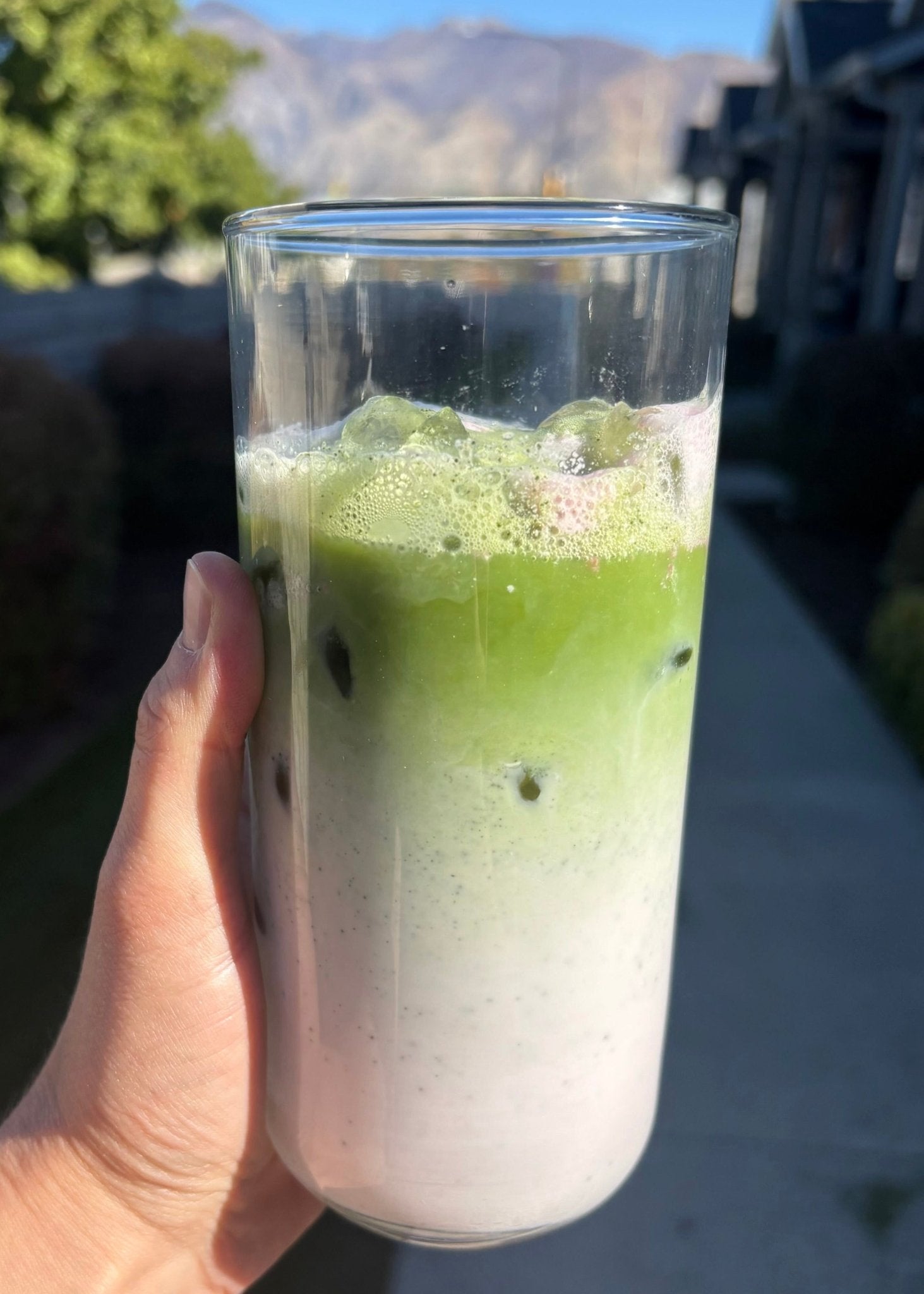 Iced Matcha Berry Latte - Ballerina Farm