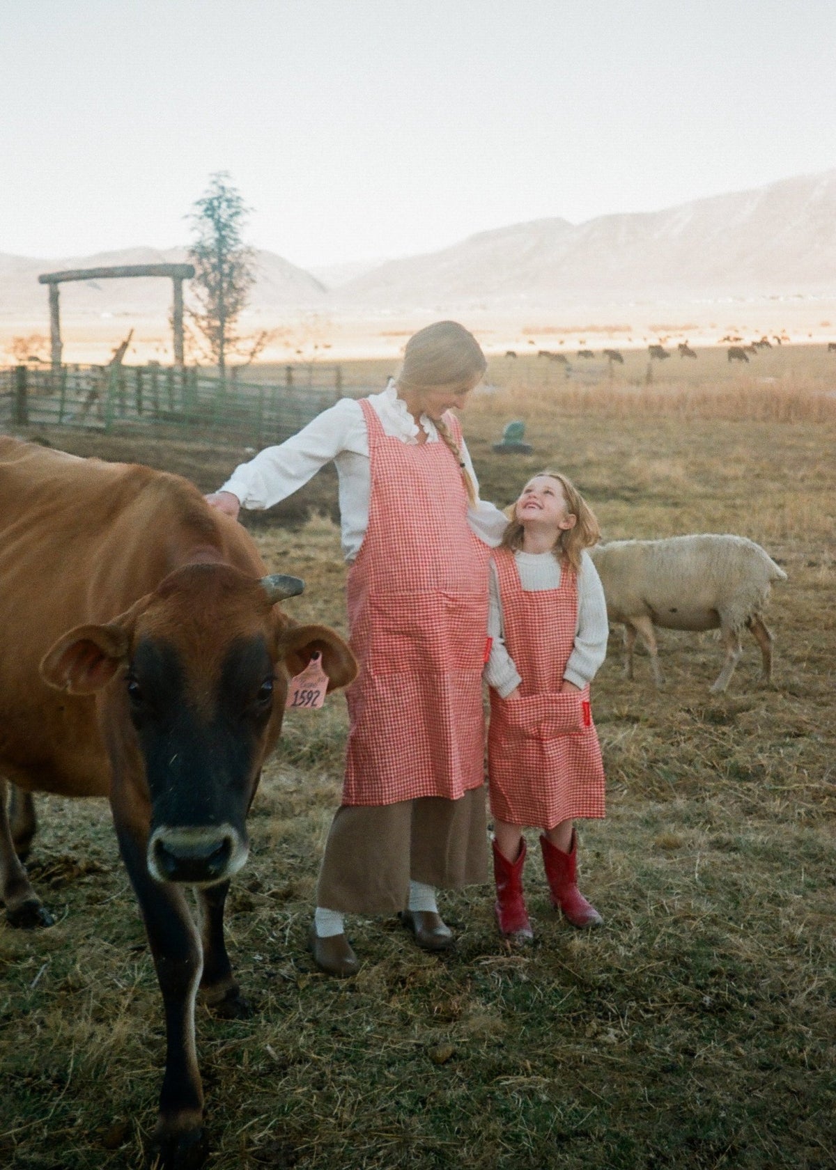Adult Jour Apron - Ballerina Farm