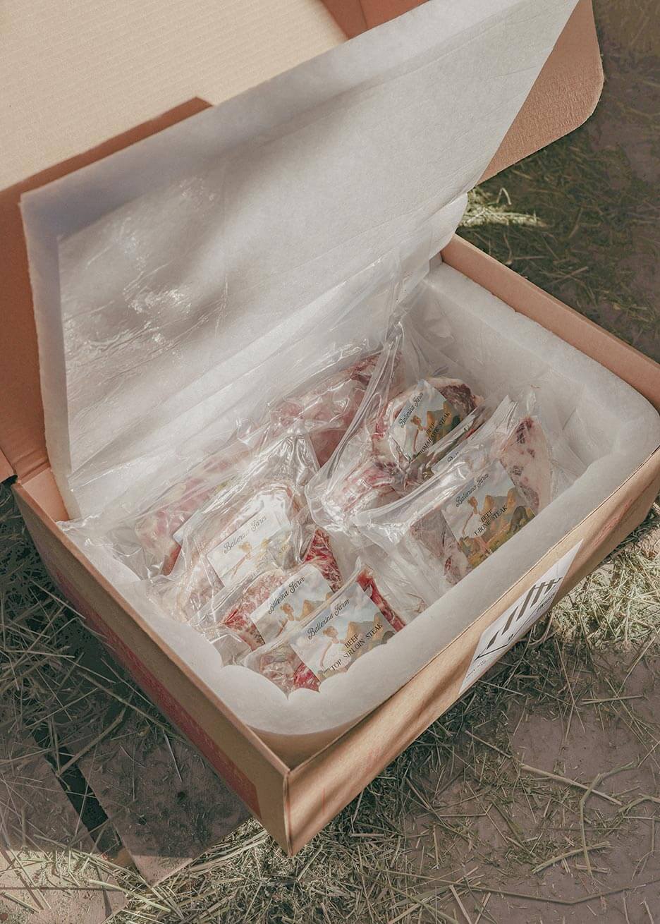 Premium Encore Subscription Box - Ballerina Farm