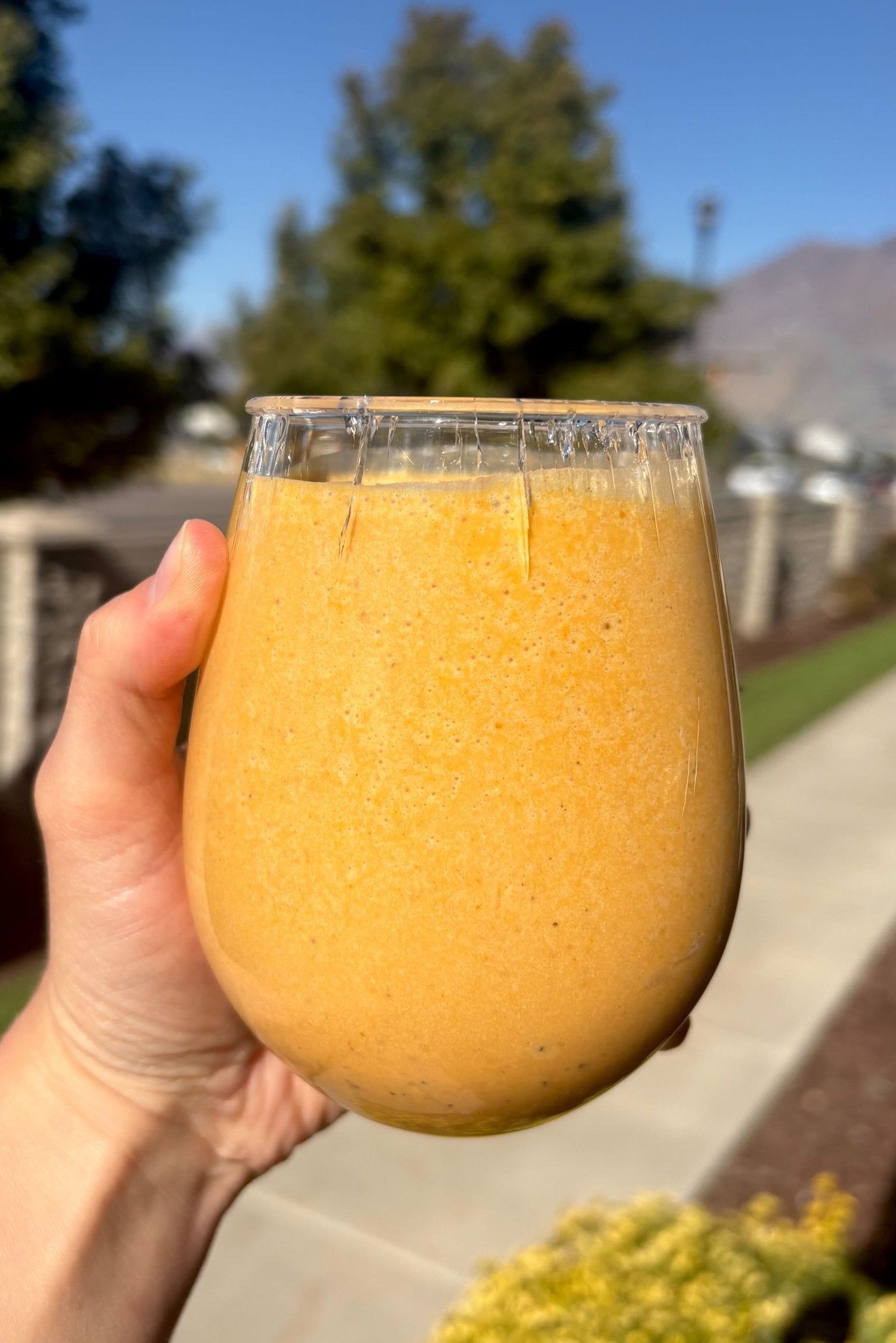 Pumpkin Chai Protein Smoothie - Ballerina Farm