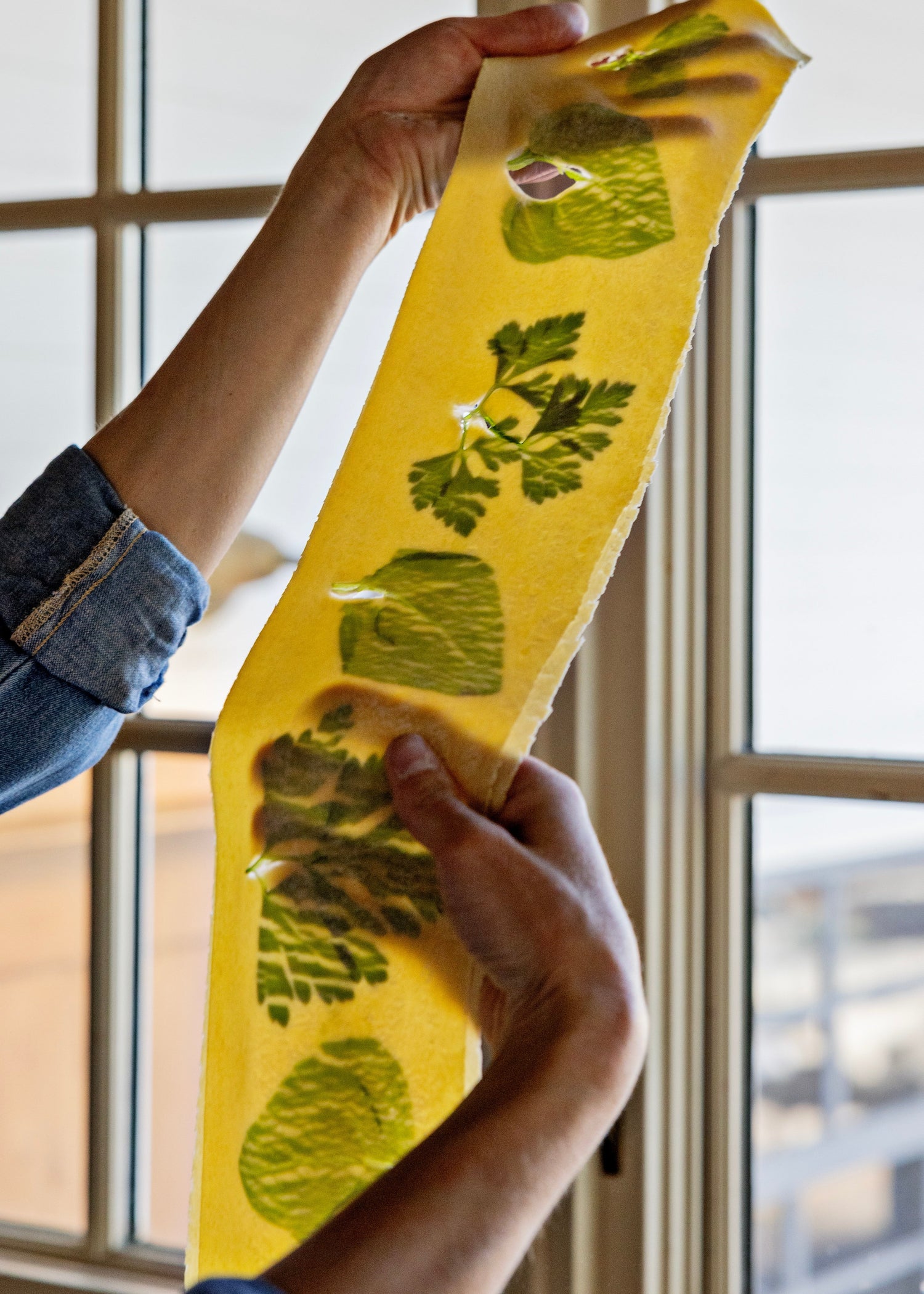 Sourdough Herb Noodles - Ballerina Farm