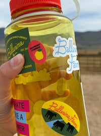 Water Bottle & Sticker Sheet - Ballerina Farm