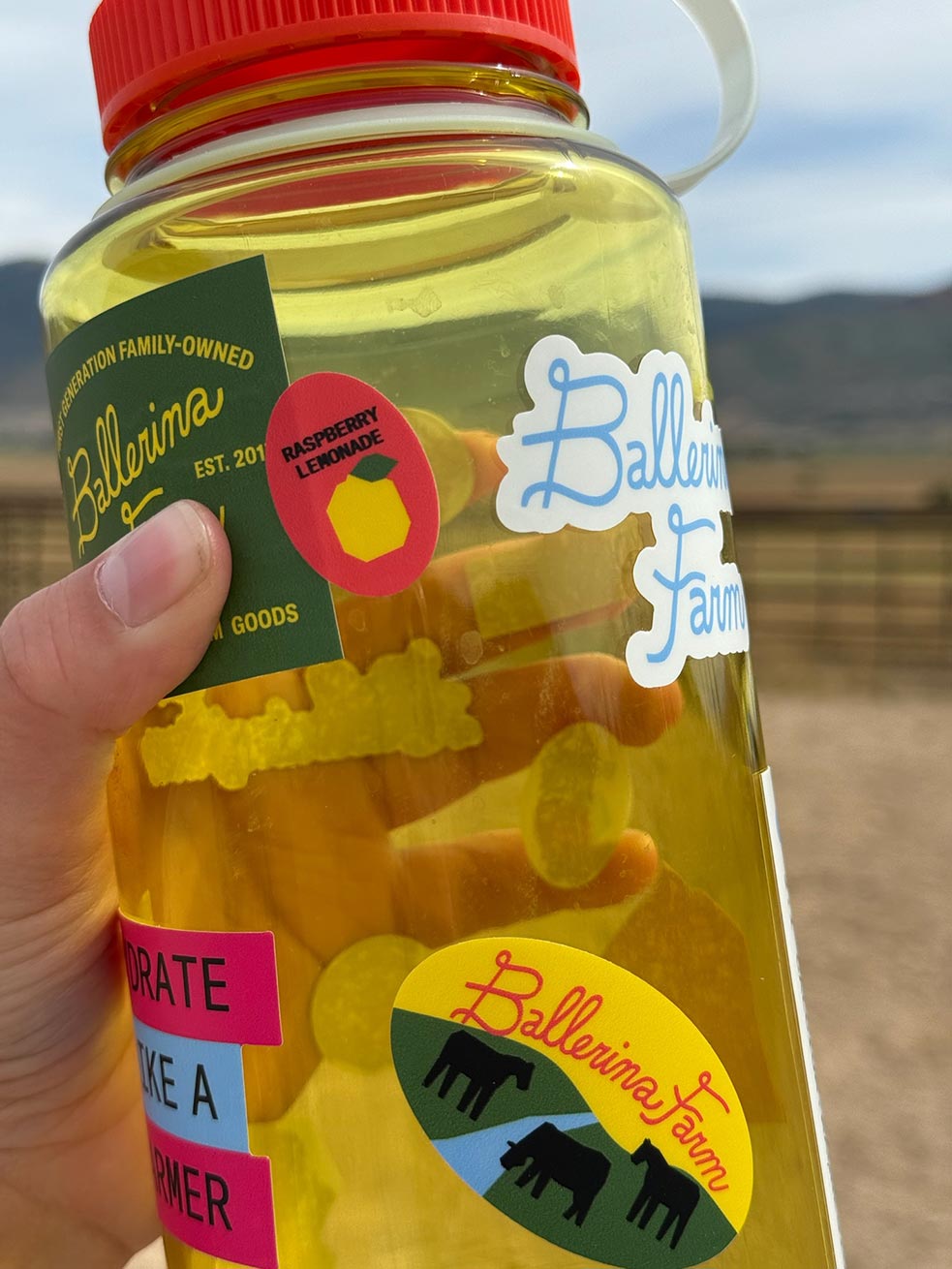 Water Bottle & Sticker Sheet - Ballerina Farm